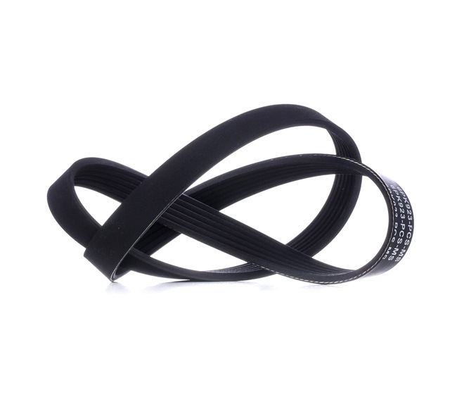 Correa trapecial poli V 028903137AM MASTER-SPORT 6PK923-PCS-MS
