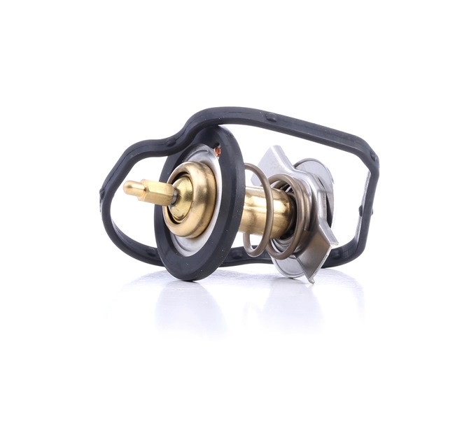 FACET Thermostat d'eau 7.8590