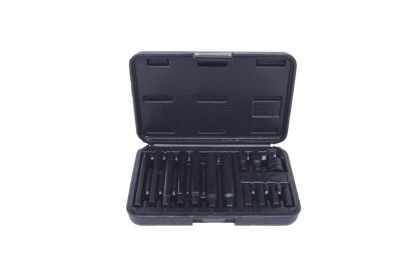 Conjunto, pontas de aparafusar (bits) KS TOOLS 911.4306 adequados para RENAULT, BMW, VW, MERCEDES-BENZ, PEUGEOT barato