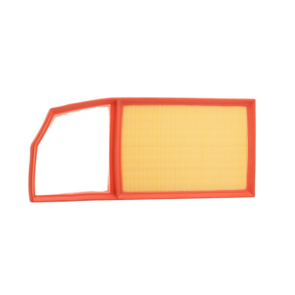 Borsehung B12808 Luchtfilter VOLKSWAGEN Polo V Hatchback (6R1, 6C1) 1.6 TDI Diesel 105 Pk 2009 kosten