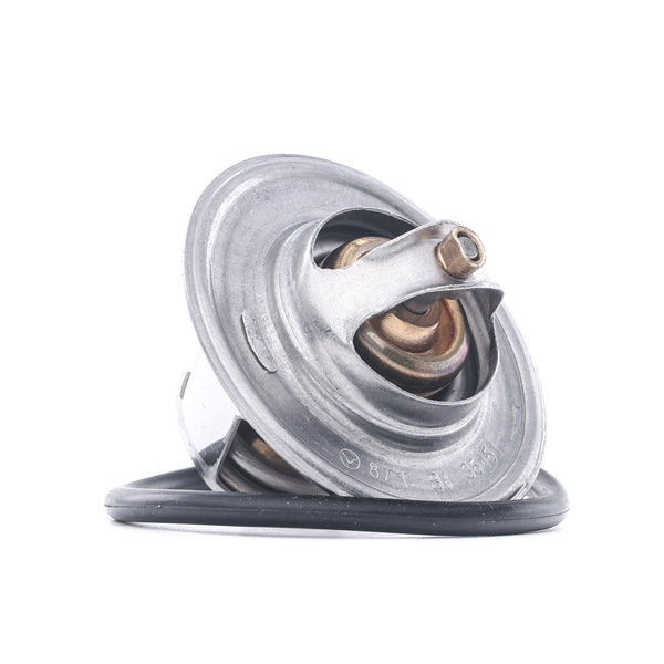 B13140 Borsehung Thermostaat prijs