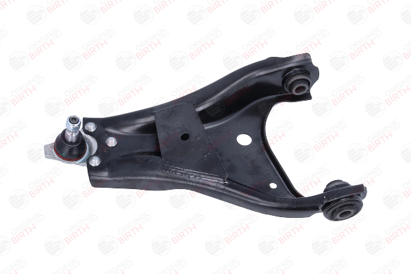 545019969R OE BIRTH Suspension arm BR1251