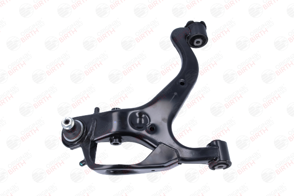 LR075995 OE BIRTH Suspension arm BR2074
