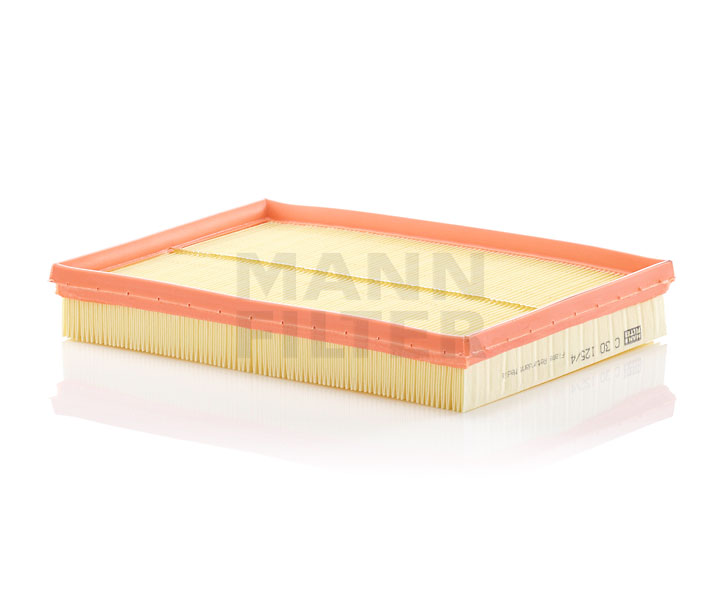 MANN-FILTER C 30 125/4 CHEVROLET Motorluftfilter kaufen