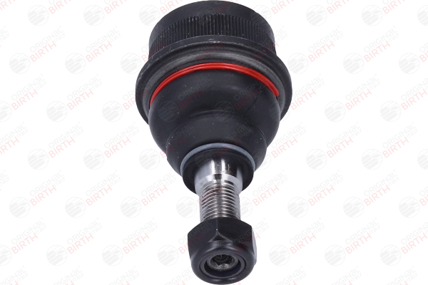 CX0019 BIRTH Fuseekogels Renault 25