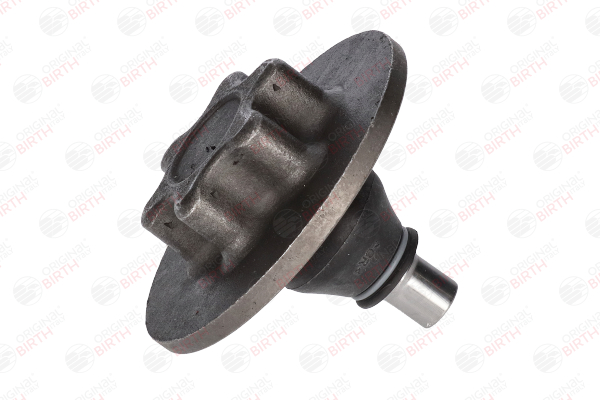 originalni Nissan QASHQAI BIRTH Nosilni zgib/vodilni zgib CX0046
