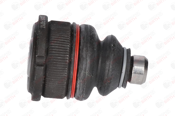 BIRTH 95603309 Spindelled