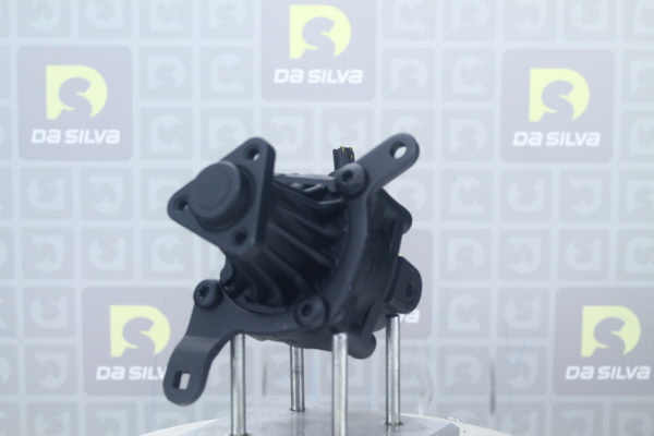 Pirkti DA SILVA Vairo stiprintuvo siurblys DP2760