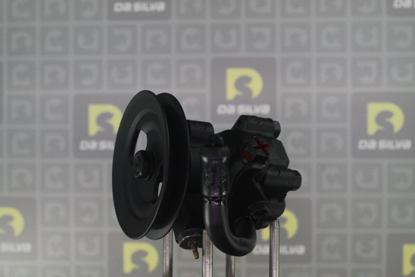 DA SILVA Servopumpe DP2933