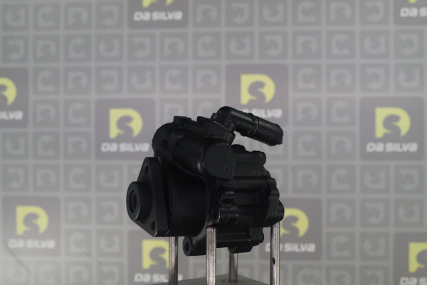 Pirkti DA SILVA Vairo stiprintuvo siurblys DP3081