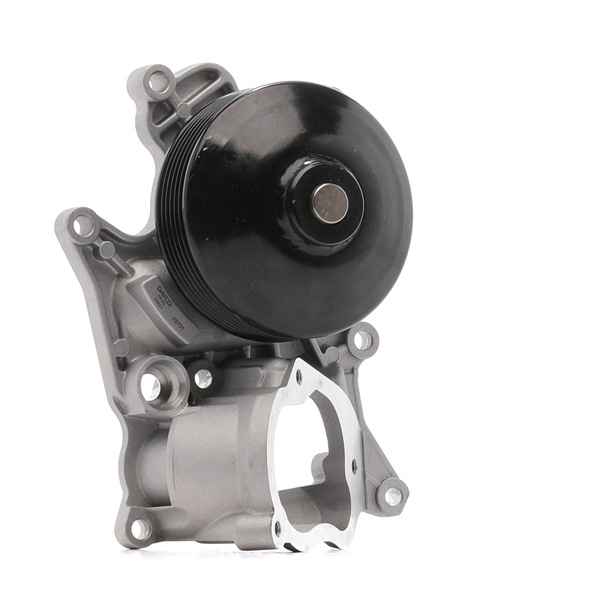 Spletna trgovina z DAYCO Vodna crpalka DP322