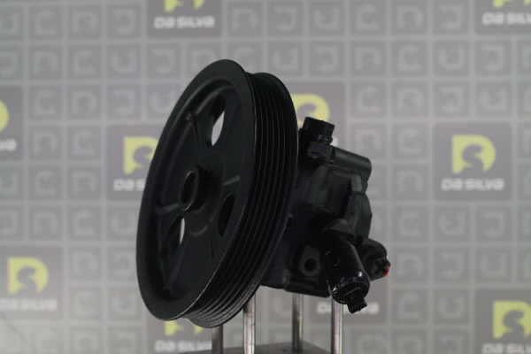 DA SILVA Stuurbekrachtigingspomp DP3488
