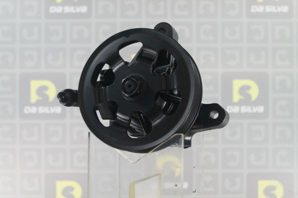 DA SILVA Stuurbekrachtigingspomp DP3519