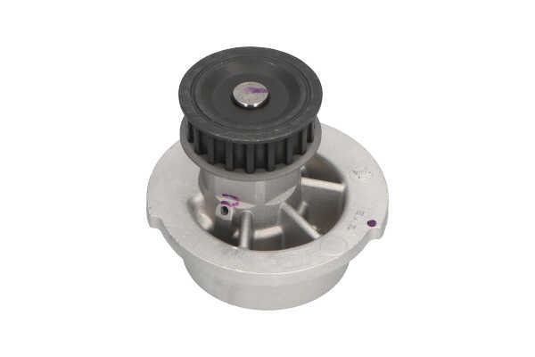 KAVO PARTS DW-1002 Bomba de agua para motor OPEL Astra G Caravan (T98) 1.6 (F35) Gasolina 84 cv 2002 precio