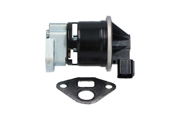 KAVO PARTS EEG-2003 AGR Ventil HONDA ACCORD kaufen