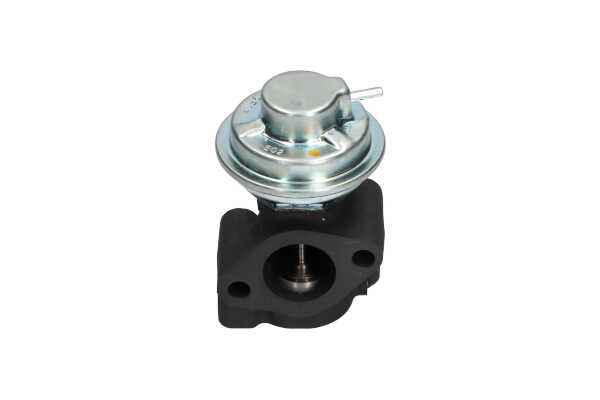 KAVO PARTS EEG-3005 EGR klep KIA K2500 (SD) 2.5 D Diesel 94 Pk 2019 kosten