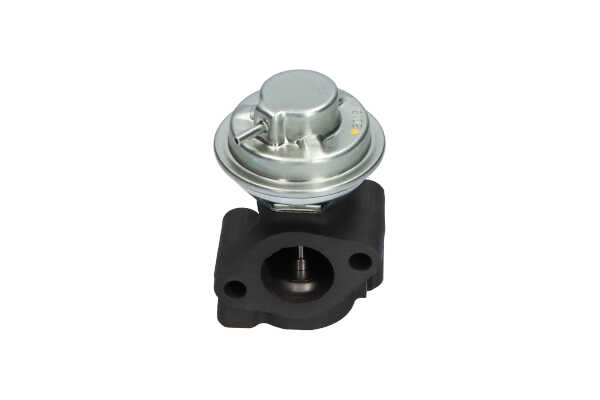 AGR-Ventil KAVO PARTS EEG-3019