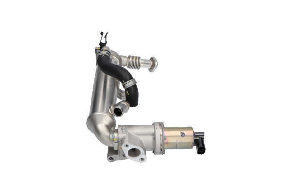 Spletna trgovina z KAVO PARTS Ventil povratnih izpusnih plinov EEG-3031
