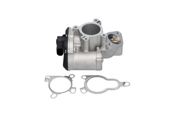 KAVO PARTS EEG-6501 Erg vožtuvas AUDI 80