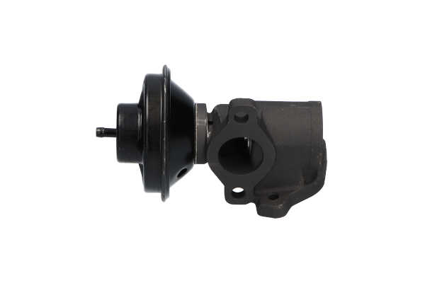 KAVO PARTS EEG-7503 Ventil povratnih izpušnih plinov SSANGYONG Rexton / Rexton II (GAB_) 2.7 Xdi Dizel 163 km 2009