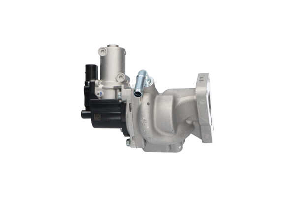 KAVO PARTS EEG-7507 EGR SSANGYONG Korando III SUV (CK) 2.0 e-XDi 4WD Gasóleo 175 cv 2018 precio