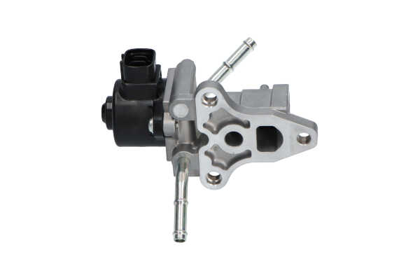2562021030 OE KAVO PARTS Válvula EGR EEG-9010