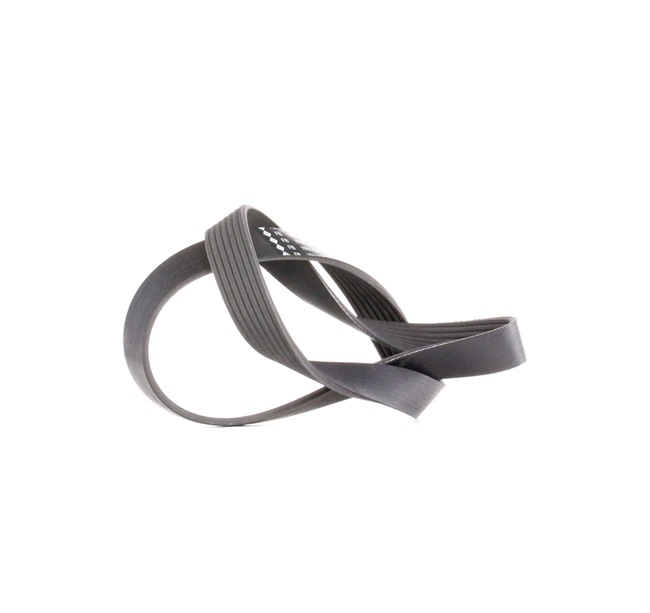 INA 117201KT0A Multiriem