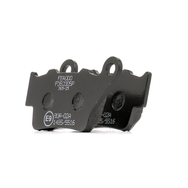Plaquettes de frein FERODO RACING FDB2005P