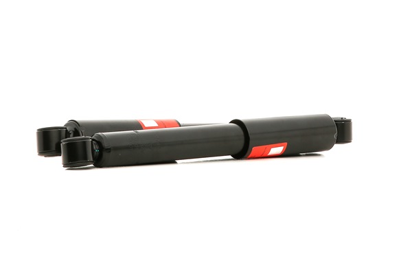 JGT1324T TRW Schokdempers SUZUKI SX4 kopen