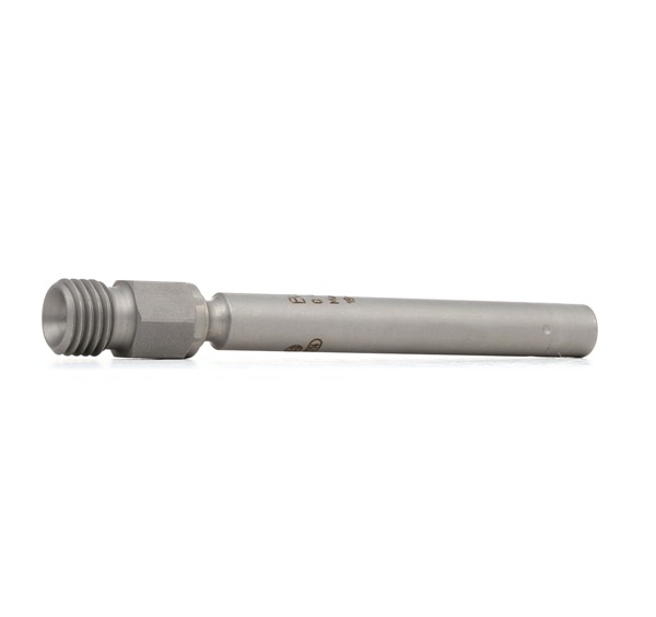 Porsche CAYENNE 2022 Injector 0437502004 BOSCH