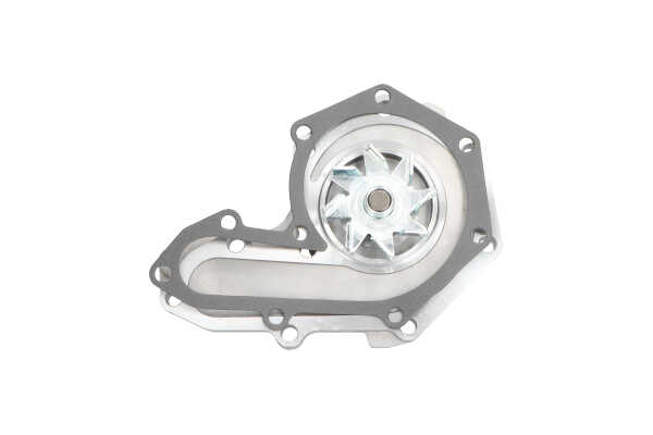 KAVO PARTS MW-1446 Vandens siurblys RENAULT Scénic 1 (JA0/1_, FA0_) 1.8 16V benzinas 115 AG 2001