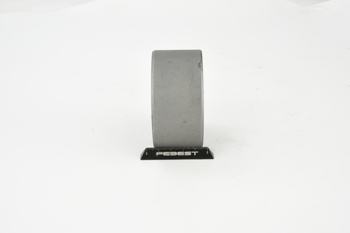 55400ES50B OE FEBEST Mounting, differential NAB-275