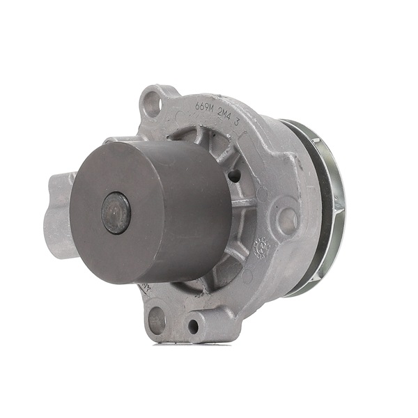 HEPU P669M с прокладкой, без интегрированного регулятора, не переключаемый водяной насос, с винтами, без встроенного размыкающего контакта, механический, Металл