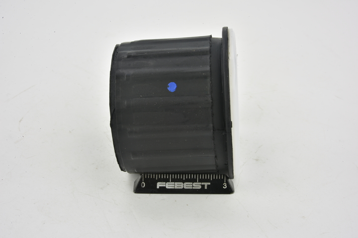 FEBEST PGSB-001 Blattfeder Fiat Ducato 250 Bus Kosten