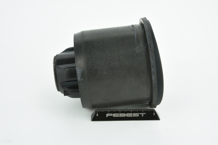 Costo silent block ponte RENAULT SCÉNIC FEBEST RNAB-SCII