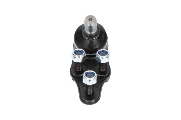 KAVO PARTS SBJ1004 Šarnyras Chevrolet REZZO 2025