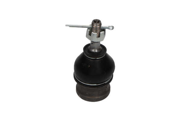 721067021 OE KAVO PARTS Šarnyras SBJ-3504