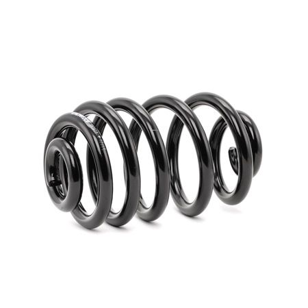 MONROE SN3619 пружина подвески BMW X3 E83
