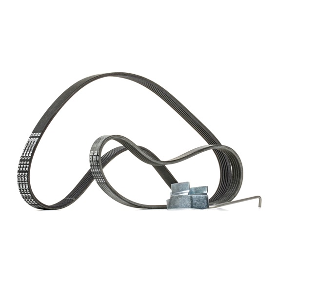 BV2Q6C301AB OE CONTITECH Jeu de courroies trapézoïdales à nervures 6PK1029 ELAST T1