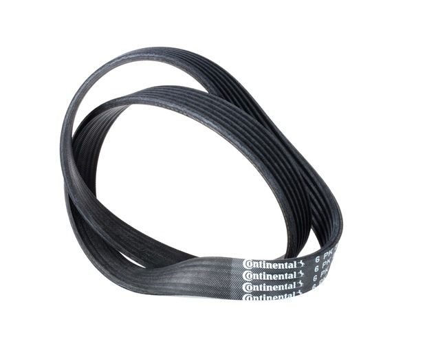 CONTITECH Courroie d'accessoire JETTA 6PK842 ELAST