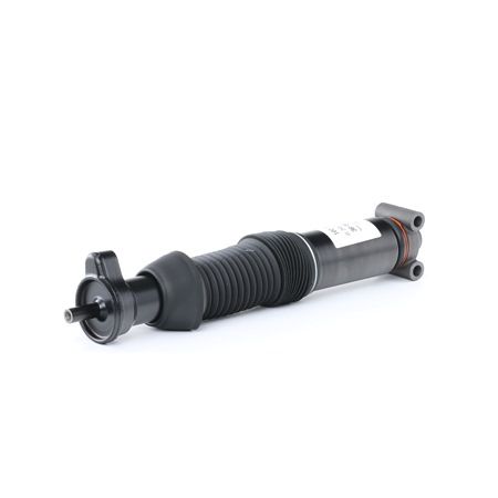 A1243203913 OE SACHS Ammortizzatore 102 811