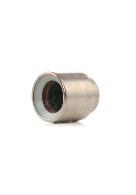 SACHS Pilot Bearing, clutch 1863 869 005