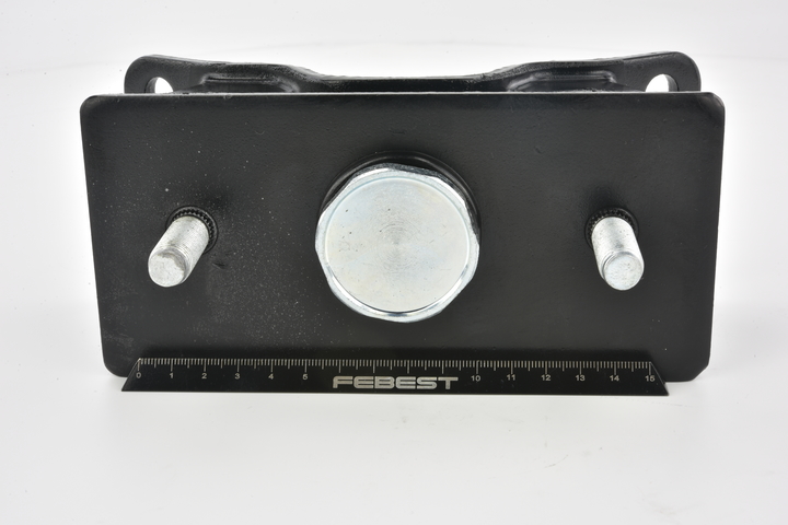 FEBEST TM-031 Variklio montavimas LEXUS GS