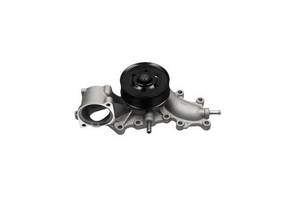 TW-5141 KAVO PARTS 1610059365 Wasserpumpe