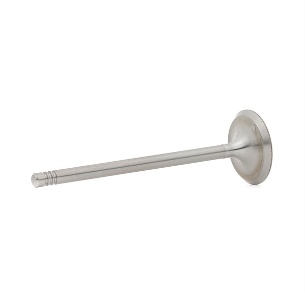 BGA V011960 BMW 5 Saloon (E39) intake valves cost