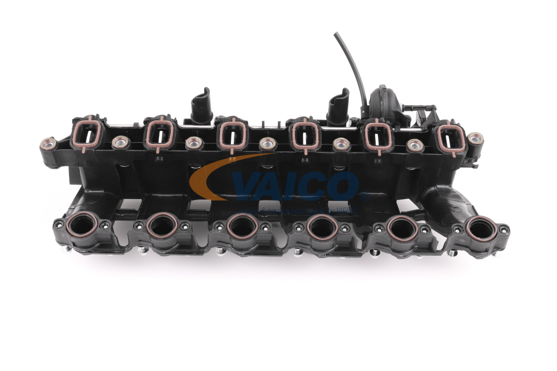 VAICO Imusarja V20-3002