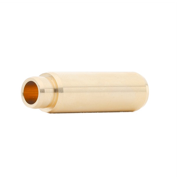 BGA Guida valvola VG3145