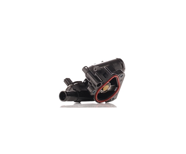 1106000Q0C OE STARK Termostatas, aušinimo skystis SKTC-0560242