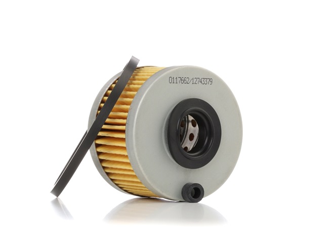 STARK SKFF-0870113 Fuel filters RENAULT Kangoo I (KC) 1.9 dCi 4x4 Diesel 84 hp 2021 price