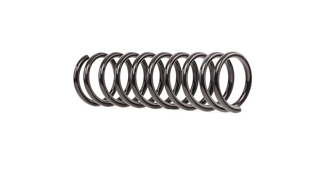 RIDEX 188C0534 Molas BMW 7 (E38) 735 i, iL Gasolina 235 cv 1998 preço